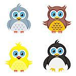 Colorful vector owl pigeon chicken and penguin illustrations