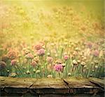 Spring background with tabletop. Flowers background. Wood table