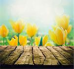 Easter background with tabletop. Spring Flowers background. Wood table with tulips
