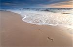 foot prints on sand beach at sunset, North sea, Netherlands