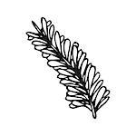 Doodling hand drawn feather, vector illustration