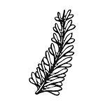 Doodling hand drawn feather in tattoo style, vector illustration