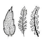 Doodling hand drawn amazing feathers with patterns, vector illustration