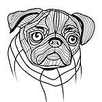 Dog pug head vector animal illustration for t-shirt. Sketch tattoo design.