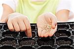Child sowing seeds into germination tray - closeup on hands