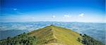 Carpathian mountains. Beautiful landscape in summer