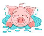 Vector illustration of cute pig in a puddle, funny piggy lies and smiling on water puddle