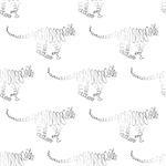 Tiger seamless pattern Vector Illustration