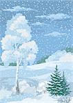 Christmas Winter Forest Landscape with Birch, Firs Trees and Sky with Snow and Clouds. Eps10, Contains Transparencies. Vecto