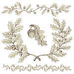 Hand drawn beige oak wreath and branch dividers with acorns with woodcut shading isolated on white background.