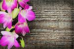 Pink orchid flowers on old wooden background