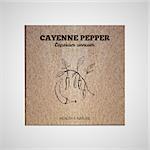 Herbs and Spices Collection - Cayenne pepper.  Hand-sketched herbal element on cardboard background. Suitable for ads, signboards, packaging and identity designs