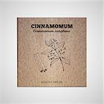 Herbs and Spices Collection - Cinnamomum.  Hand-sketched herbal element on cardboard background. Suitable for ads, signboards, packaging and identity designs