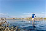 Senior male on stand up paddling (SUP) board. Early spring on calm lake in Fort Collins, Colorado..