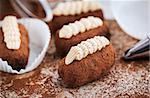 Chocolate rum balls cakes decorated with cream and cocoa