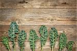 green kale leaves on a rustic wood with a copy space