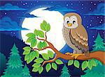 Owl topic image 4 - eps10 vector illustration.