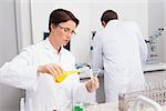 Scientists working attentively with test tube and computer in laboratory