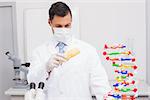 Scientist doing an experimentation on corn in the laboratory