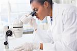 Scientist looking in microscope in laboratory