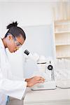 Concentrated scientist looking at petri dish in laboratory