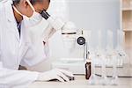 Scientist looking in microscope in laboratory
