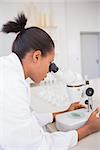 Scientist looking at petri dish with microscope in laboratory