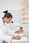 Scientist looking at petri dish with microscope and taking notes in laboratory