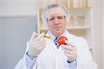 Food scientist working attentively with red tomato in laboratory