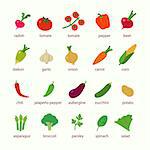 Vector illustrations of food for picnic and cooking