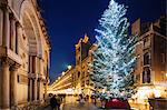 Christmas tree in St. Marks Square, San Marco, Venice, UNESCO World Heritage Site, Veneto, Italy, Europe