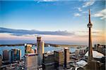 Skyline with CN Tower and Lake Ontario, Toronto, Ontario, Canada