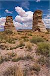 Elephant's Feet near Tonalea, Arizona, USA