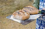 Mature man holding baking tray with organic loaves of bread