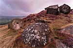 Millstone amongst heather and lichen covered boulders at dawn, Curbar Edge, late summer, Peak District, Derbyshire, England, United Kingdom, Europe