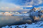 The feeble light of the sunset on a fjord near Henningsvaer covered in snow, Lofoten Islands, Arctic, Norway, Scandinavia, Europe