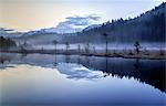 Fog hiding the vegetation in the Nature Reserve of Pian di Gembro before sunrise, Lombardy, Italy, Europe