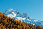 Autumn colours below Aiguille Verte, 4121m, Chamonix, Rhone Alpes, Haute Savoie, French Alps, France, Europe