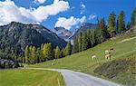 Road to Albula Pass, Graubunden, Swiss Alps, Switzerland, Europe