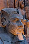 Statue in the ancient Egyptian Luxor Temple at night, Luxor, Thebes, UNESCO World Heritage Site, Egypt, North Africa, Africa