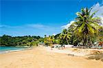 Beach of Castara,Tobago, Trinidad and Tobago, West Indies, Caribbean, Central America