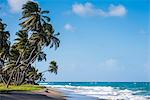 The beach of Sauteurs, Grenada, Windward Islands, West Indies, Caribbean, Central America