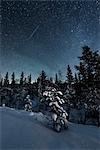 Winter landscape at starry night