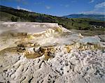 Yellowstone National Park, USA