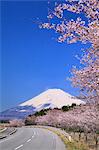 Shizuoka Prefecture, Japan