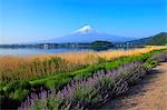 Yamanashi Prefecture, Japan