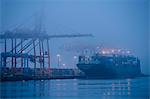 Misty view of cargo ship and cranes on waterfront at night, Seattle, Washington, USA