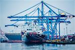 Container ship and gantry crane in harbor, Tacoma, Washington, USA