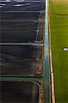 Aerial View, Field Landscape, Baranja, Croatia