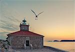Lighthouse with seagull, Greben, Dubrovnik
